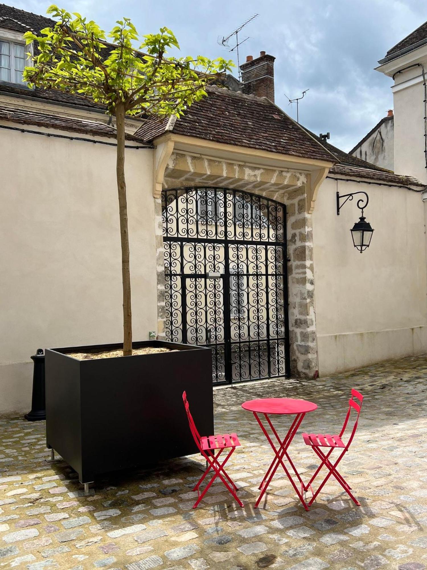 Le Laurencin Sens - Le Duplex - Coeur De Ville Eksteriør billede